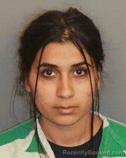 Mugshot of ALONDRA SERBAN booked in Jefferson County, Alabama on May 6, 2026