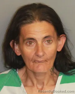 Mugshot of LISA MARIE LANGFORD booked in Jefferson County, Alabama on May 8, 2026