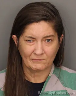 Mugshot of MISTY ANN VINES booked in Jefferson County, Alabama on May 20, 2026