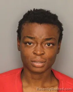 Mugshot of ALEXIS SHAWNTAE BANKS booked in Jefferson County, Alabama on June 11, 2026