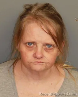 Mugshot of ERIN NICOLE TYLER booked in Jefferson County, Alabama on June 13, 2026