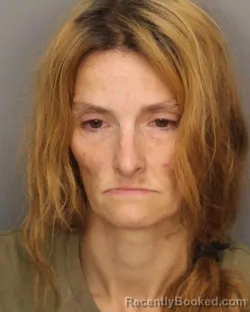 Mugshot of ELIZABETH LANE CAPPS CAIN booked in Jefferson County, Alabama on June 17, 2026