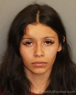 Mugshot of PAOLA RAYA ARELLANO booked in Jefferson County, Alabama on June 21, 2026
