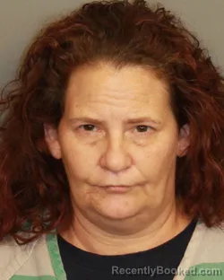 Mugshot of BRIDGET AMANDA AKINS booked in Jefferson County, Alabama on June 24, 2026
