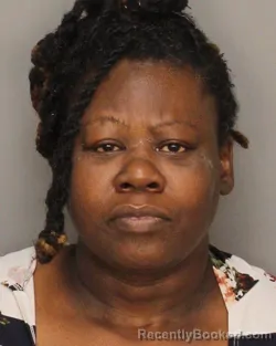 Mugshot of TAMMY ANN ZINNERMAN booked in Jefferson County, Alabama on June 26, 2026