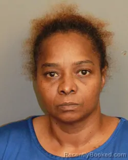 Mugshot of BRENDA FAYE PALMER booked in Jefferson County, Alabama on June 29, 2026