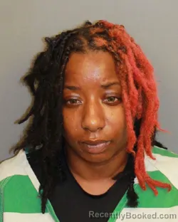 Mugshot of Brenelia Jamia Evans booked in Jefferson County, Alabama on July 26, 2026