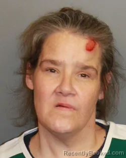 Mugshot of Misty Ann Sloan booked in Jefferson County, Alabama on August 6, 2026