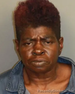 Mugshot of Ayana Michelle Banks booked in Jefferson County, Alabama on August 12, 2026