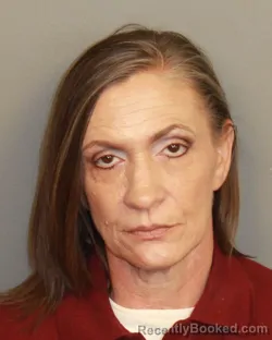 Mugshot of Dawn Marie Reeves booked in Jefferson County, Alabama on August 17, 2026