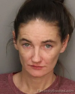 Mugshot of Ashley Nichol Park booked in Jefferson County, Alabama on August 21, 2026