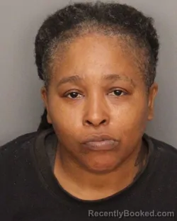 Mugshot of Sheree Renee Holston booked in Jefferson County, Alabama on August 24, 2026