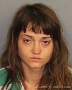 Mugshot of Anastasia Tsefia Sudarsana booked in Jefferson County, Alabama on September 4, 2026