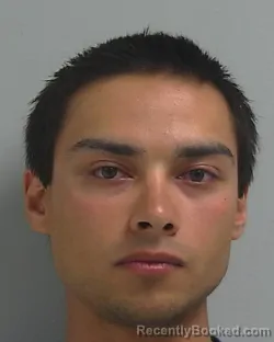 Mugshot of BRIAN RAY CARPENTER