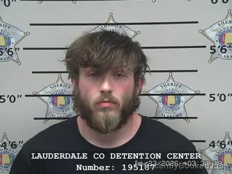 Mugshot of AUSTIN HUNTER LEE BOOZER