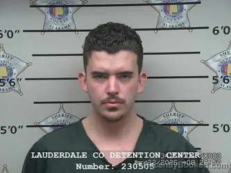 Mugshot of LOGAN RAY HOLLEY