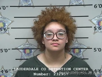 Mugshot of KAYLA LASHAY HEGLER