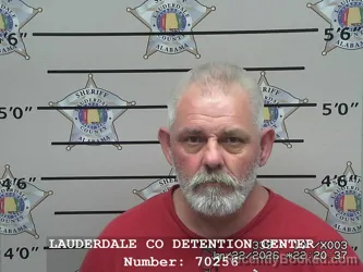 Mugshot of DENNIS WAYNE MCPHERSON