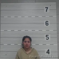 Mugshot of CYNTHIA AYALA booked in Lawrence County, Alabama on April 3, 2026