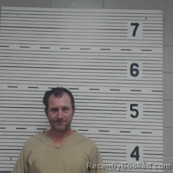 Mugshot of RONALD AMERSON