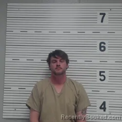 Mugshot of JONATHEN DALE BORDEN