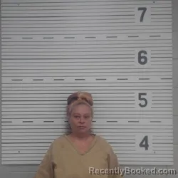 Mugshot of KANDIS TERRY BROWETT booked in Lawrence County, Alabama on August 3, 2026