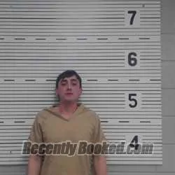 Booking photo from Lawrence County, Alabama