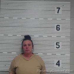 Mugshot of BRITTANY ANN DAVIS