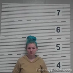 Mugshot of BRIANNA CAROL FLOWERS
