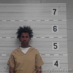 Mugshot of CHRISTIAN TAYESHAWN HORTON