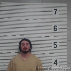 Mugshot of NIKOLAS KADE HARVILLE