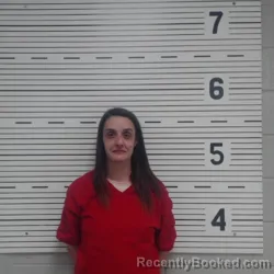 Mugshot of BRIANA NICHOLE JOHNSON booked in Lawrence County, Alabama on June 16, 2026