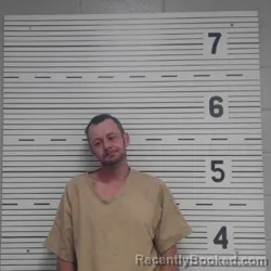 Mugshot of DAVID TYLER LOWERY