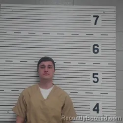 Mugshot of HESTON DEWAYNE LEDLOW