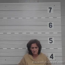 Mugshot of VICTORIA L LAWSON booked in Lawrence County, Alabama on April 20, 2026