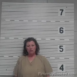 Mugshot of JESSICA VIOLA MEARS