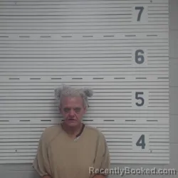 Mugshot of Talisha Chambers Mccann booked in Lawrence County, Alabama on September 2, 2026