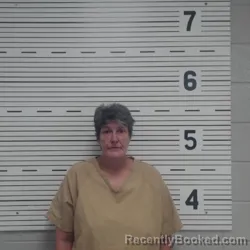 Mugshot of JOHNDA RENE NELMS booked in Lawrence County, Alabama on June 22, 2026