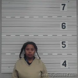 Mugshot of JESSICA NICOLE ORR