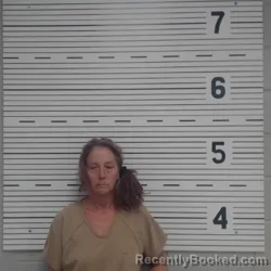 Mugshot of KIMBERLY DWON PARKER booked in Lawrence County, Alabama on June 1, 2026