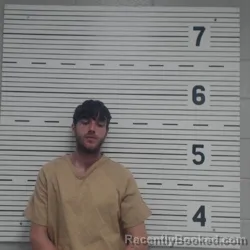 Mugshot of DALLAS JORDAN RIDDLE