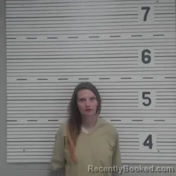 Mugshot of SHERYL MARIE RYAN booked in Lawrence County, Alabama on July 10, 2026