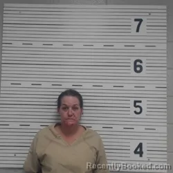 Mugshot of LIZA ALLISON STUTTS