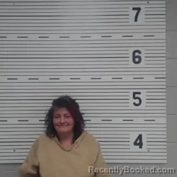 Mugshot of MICHELLE KAYE STEPHENS booked in Lawrence County, Alabama on July 5, 2026