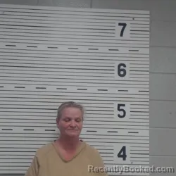 Mugshot of TINA FAYE STORY