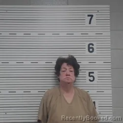 Mugshot of BETH MCCULLOCH VINSON booked in Lawrence County, Alabama on April 23, 2026