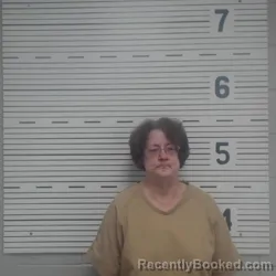 Mugshot of Beth Mcculloch Vinson booked in Lawrence County, Alabama on September 3, 2026