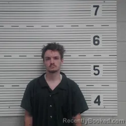 Mugshot of MATTHEW DUSTIN VESS booked in Lawrence County, Alabama on July 6, 2026