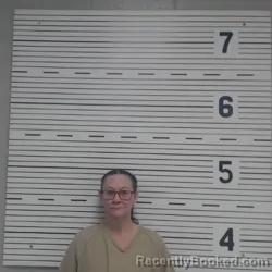 Mugshot of APRIL RENEE WILLIS
