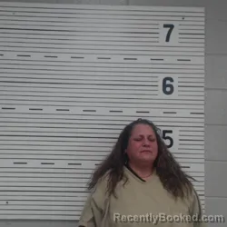 Mugshot of JASSICA NICOL WISE